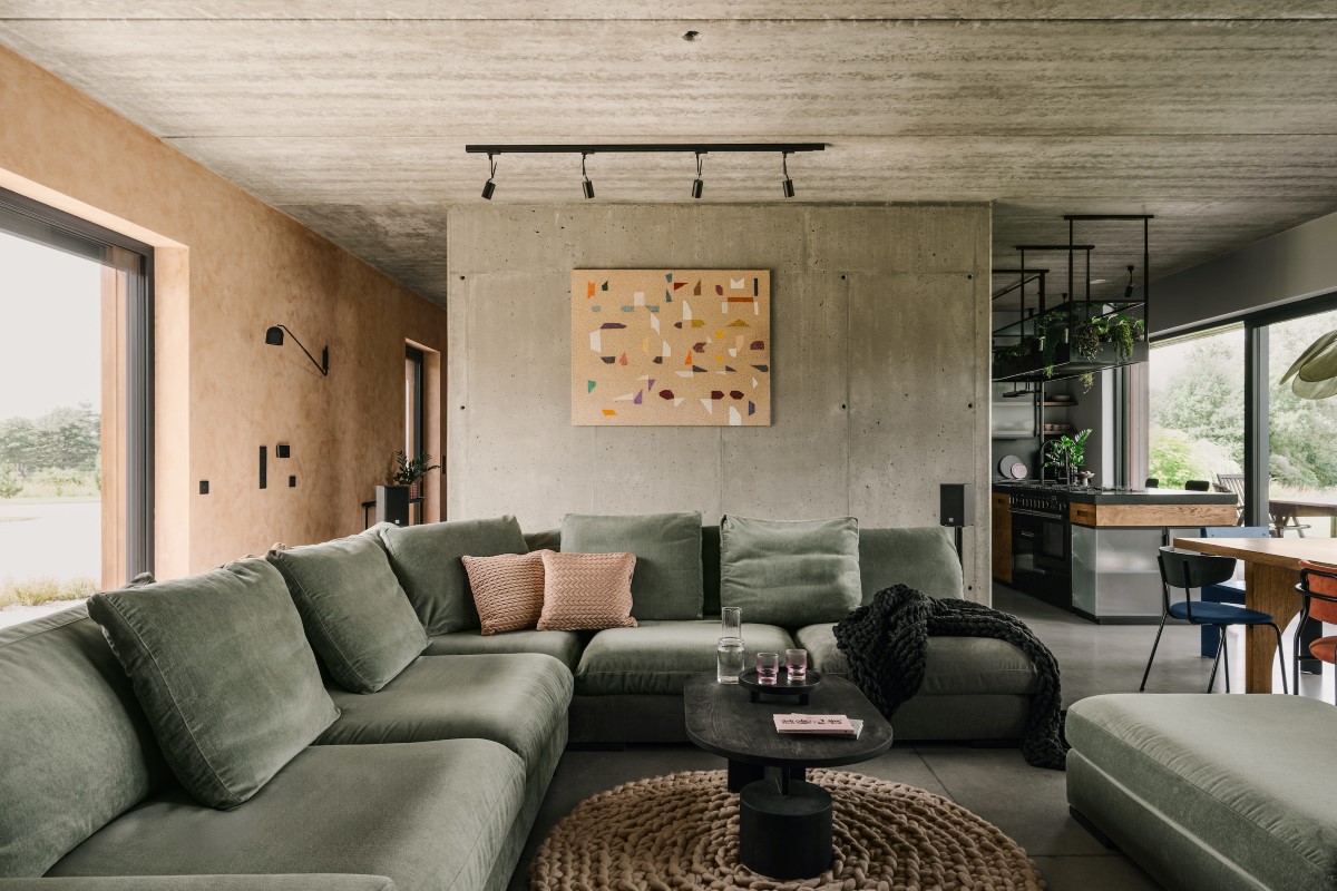 salon z oliwkową sofą