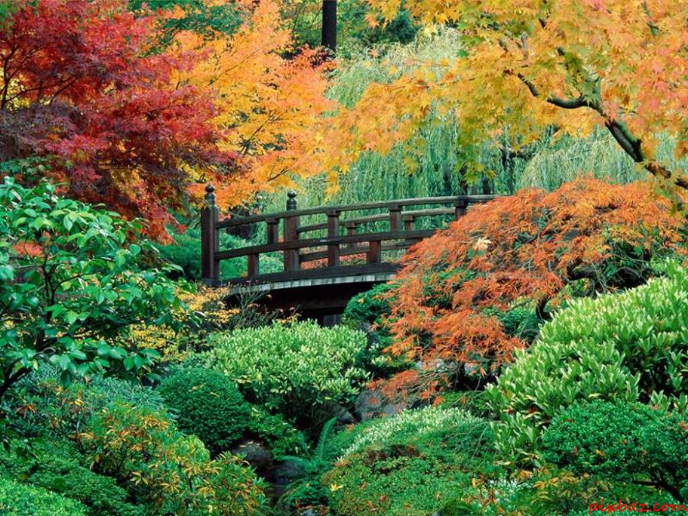 Ogród japoński / pinterest.com